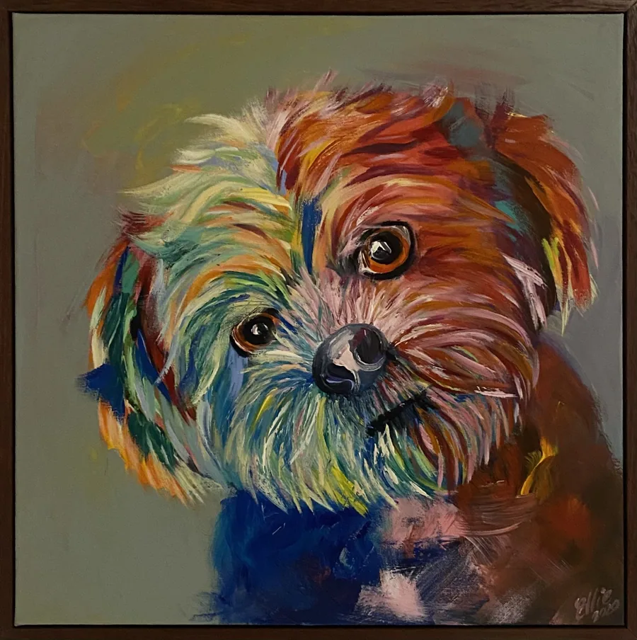 Coco by Dr Ellie Arbuckle