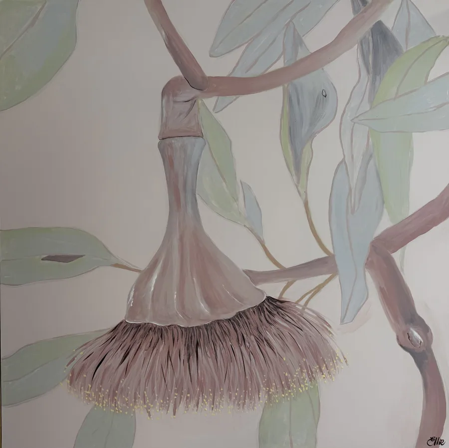 Drooping Gumnut by Dr Ellie Arbuckle