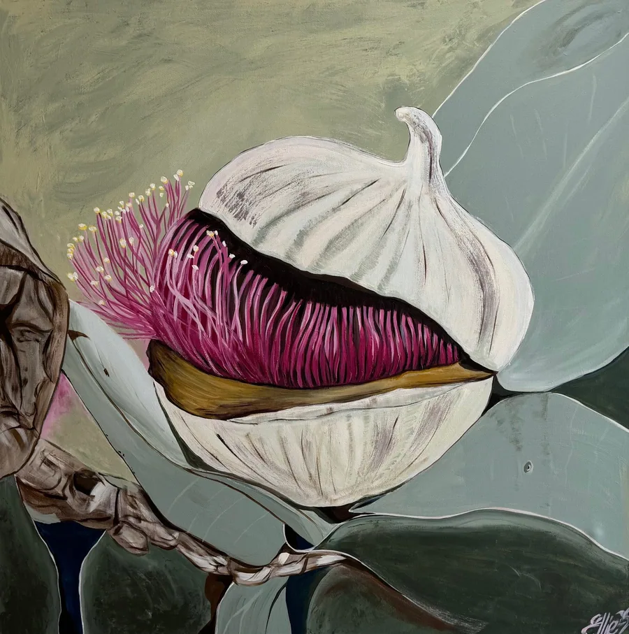 Gum Nut by Dr Ellie Arbuckle