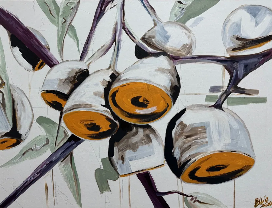 Gum Nuts by Dr Ellie Arbuckle