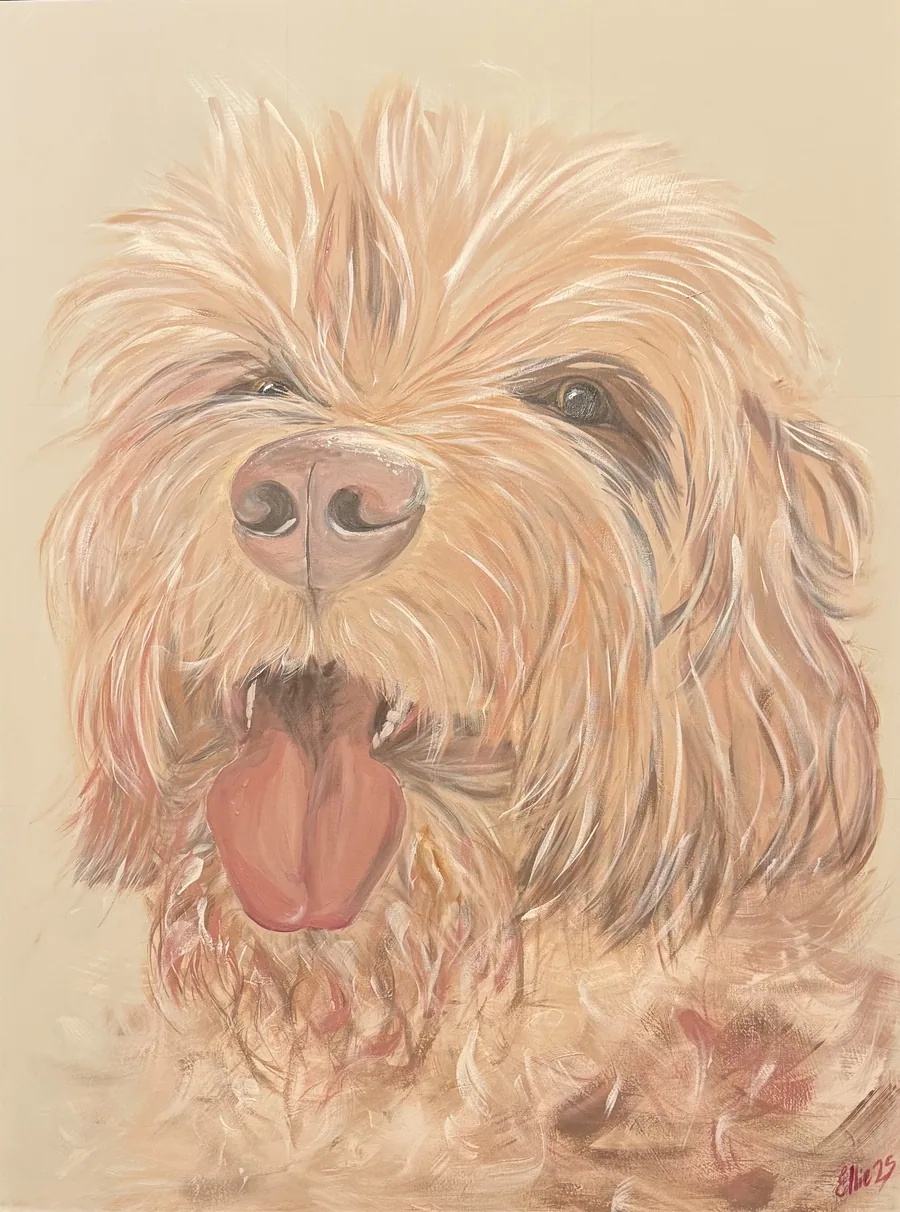 Toffee by Dr Ellie Arbuckle