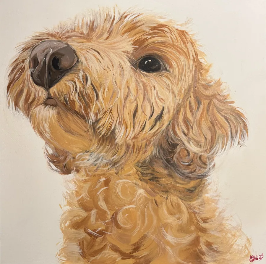 Waffle by Dr Ellie Arbuckle
